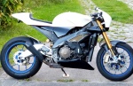 CafeRacer OstFront Tuono IV
